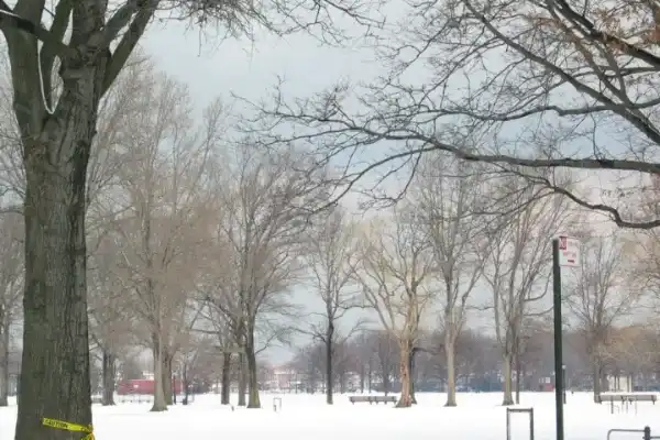 Marine Park, Marine Park