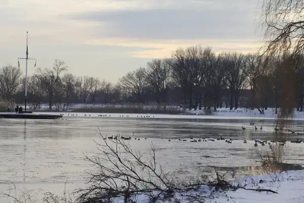 Baisley Pond Park, South Jamaica