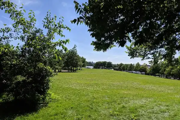 The Floating Pool at Barretto Point Park, Hunts Point