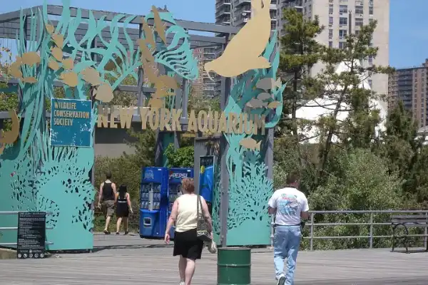 New York Aquarium Early Childhood Programs, Coney Island