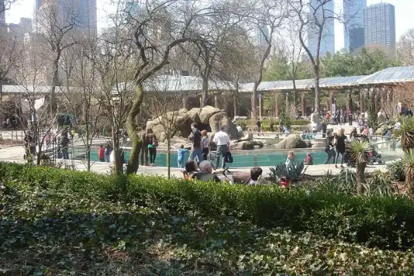 Central Park Zoo Sea Lion Pool, Central Park