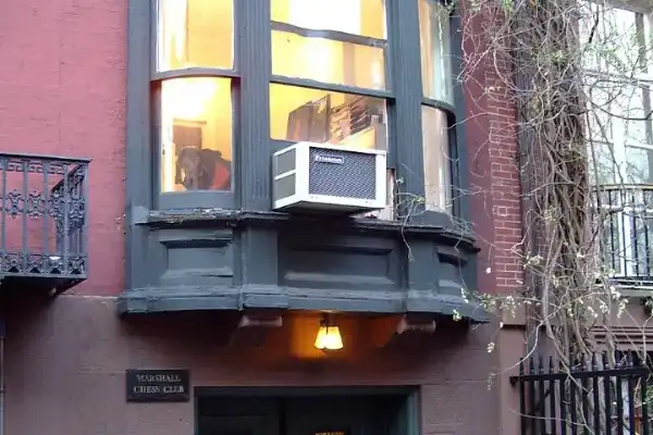 Marshall Chess Club Junior Programs, Greenwich Village