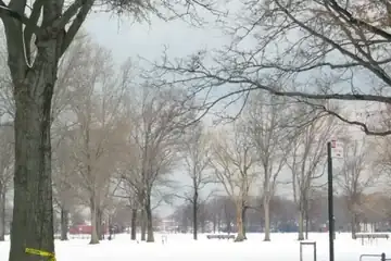 Marine Park