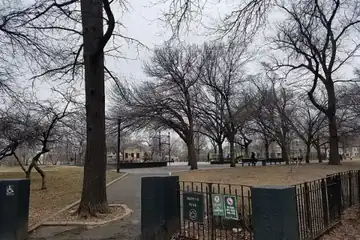 Brower Park Playground