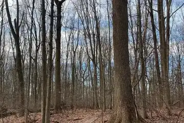 Greenbelt Nature Center