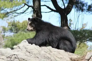 Queens Zoo